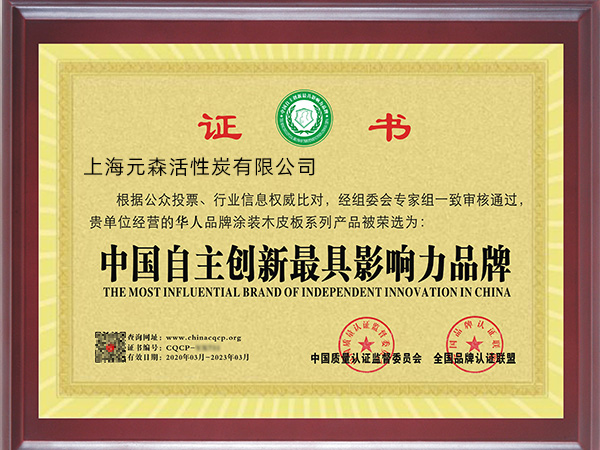 中国自主创新最具影响力品牌